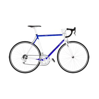 Suspendisse volutpat massa