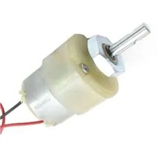 100 RPM 12V Center Shaft DC Gear Motor