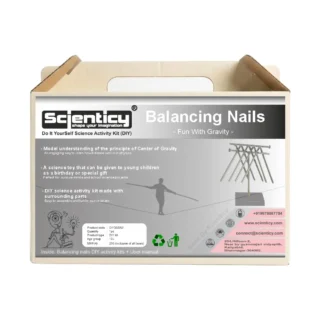 Balancing Nails DIY Science Activity Kit