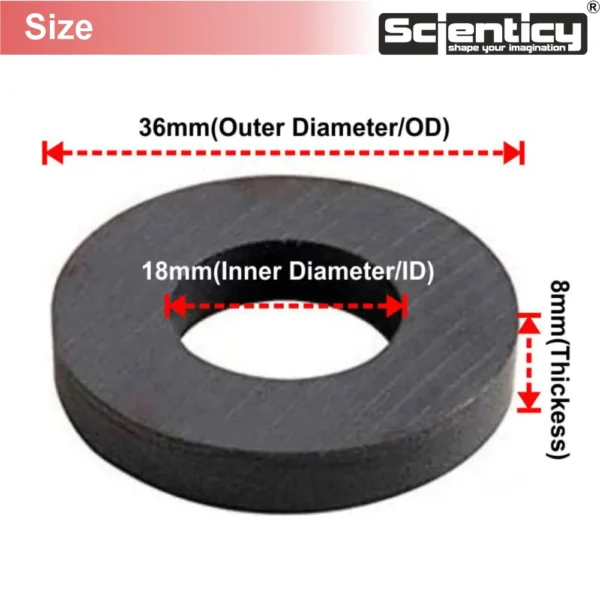 Size measurement diagram of a circular Scienticy ferrite ring magnet showing 36mm outer diameter, 18mm inner diameter, and 8mm thickness.